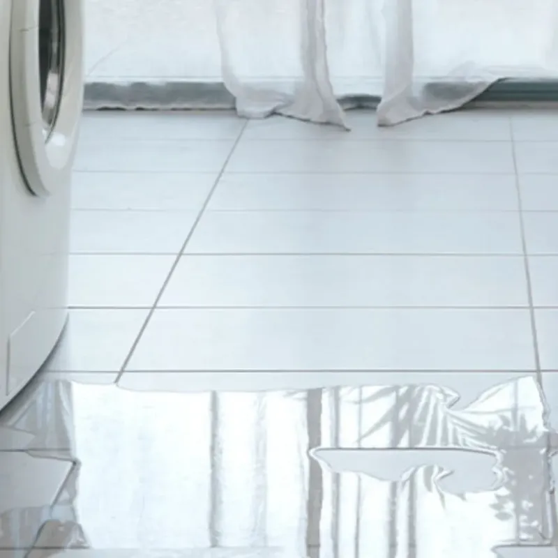 Appliance Leak Cleanup in Saint James City, FL
