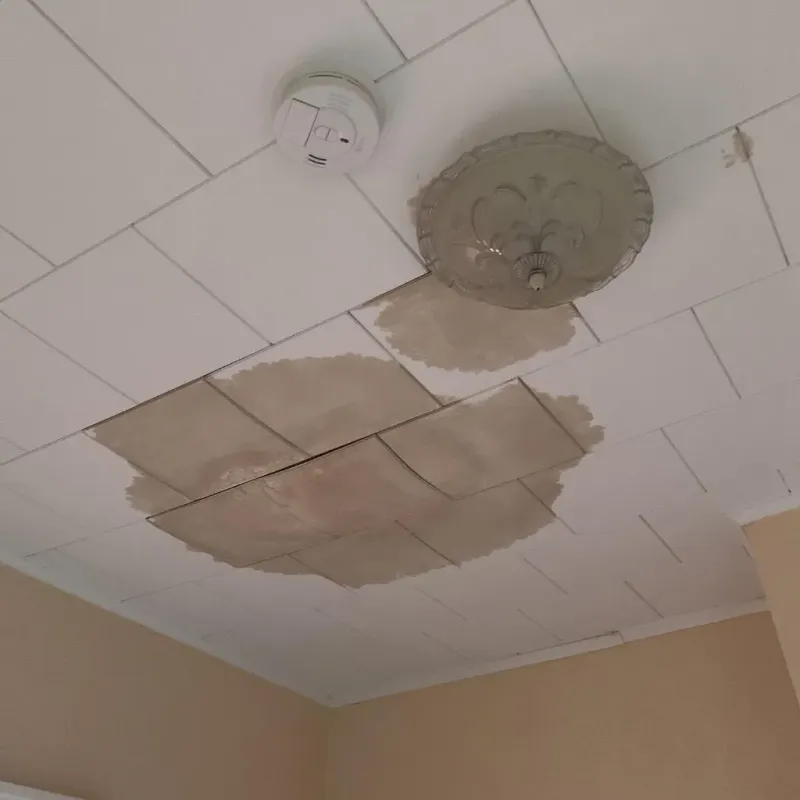 Ceiling Water Damage Repair in Saint James City, FL